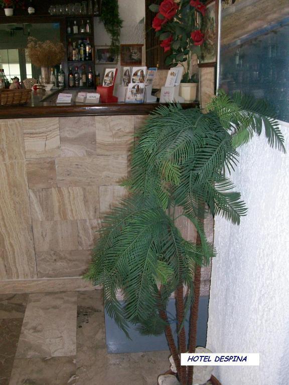 Despina Hotel Hersonissos  Exteriér fotografie